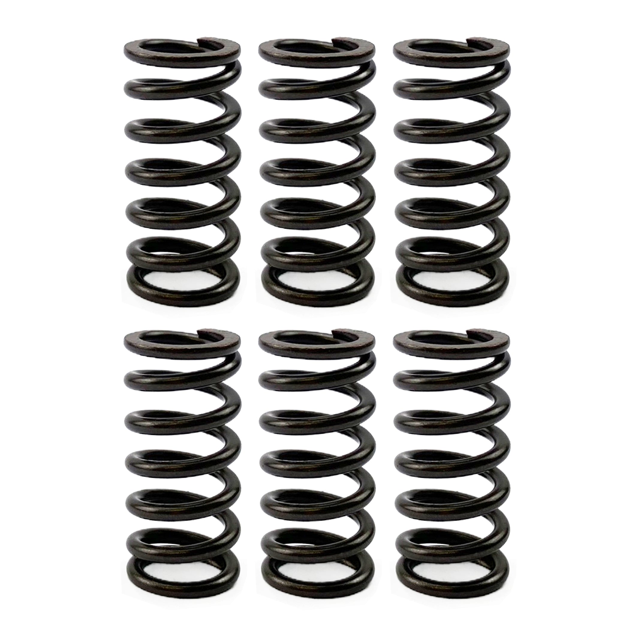 CLUTCH SPRING HD SET/6 [CSK02] CSK2