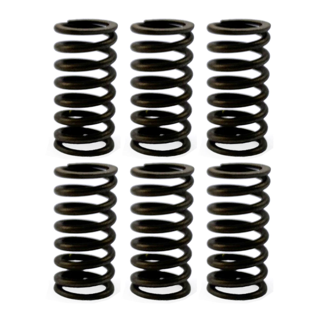 CLUTCH SPRING HD SET/6 [CSK77]