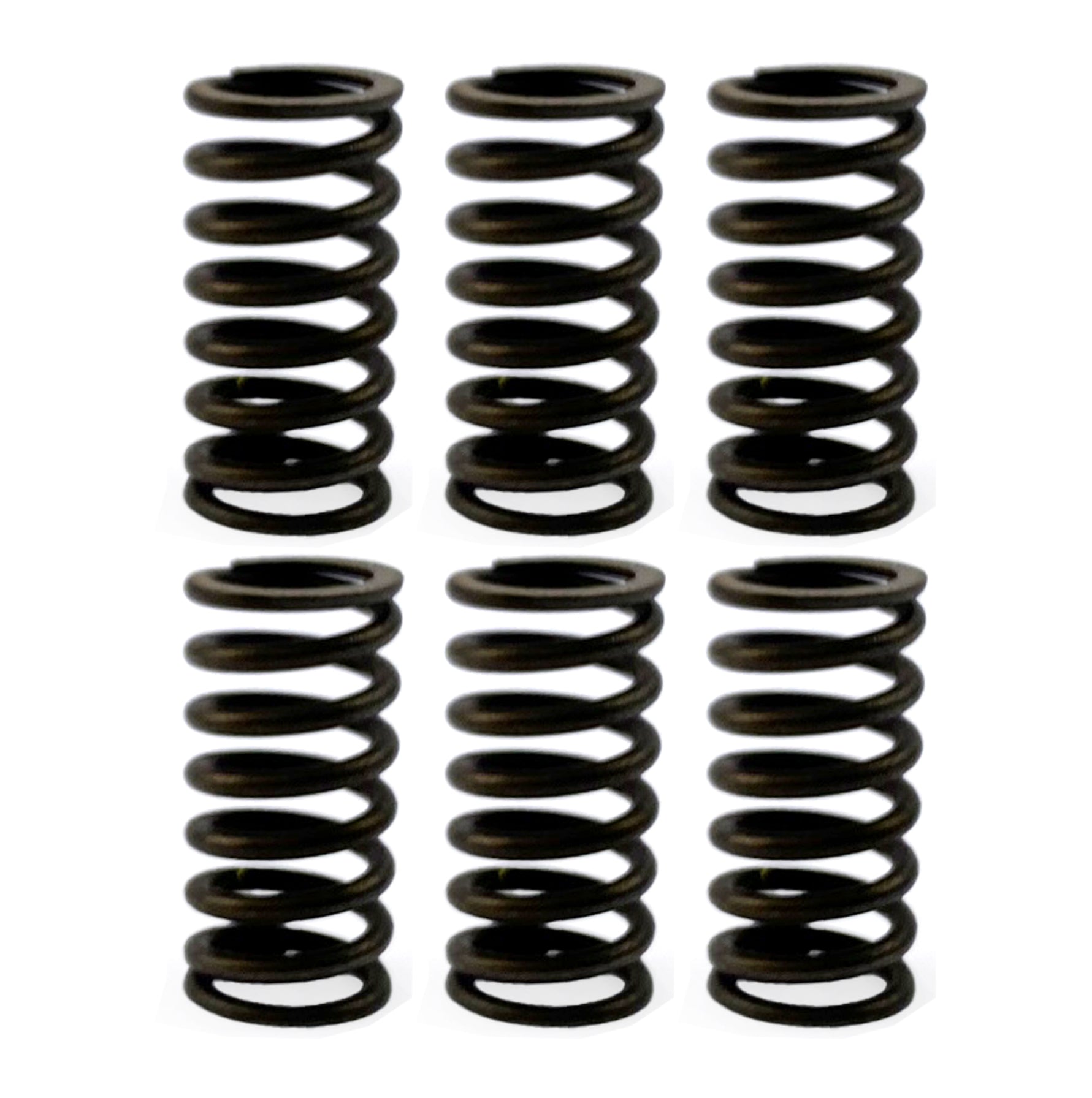 CLUTCH SPRING HD SET/6 [CSK77]