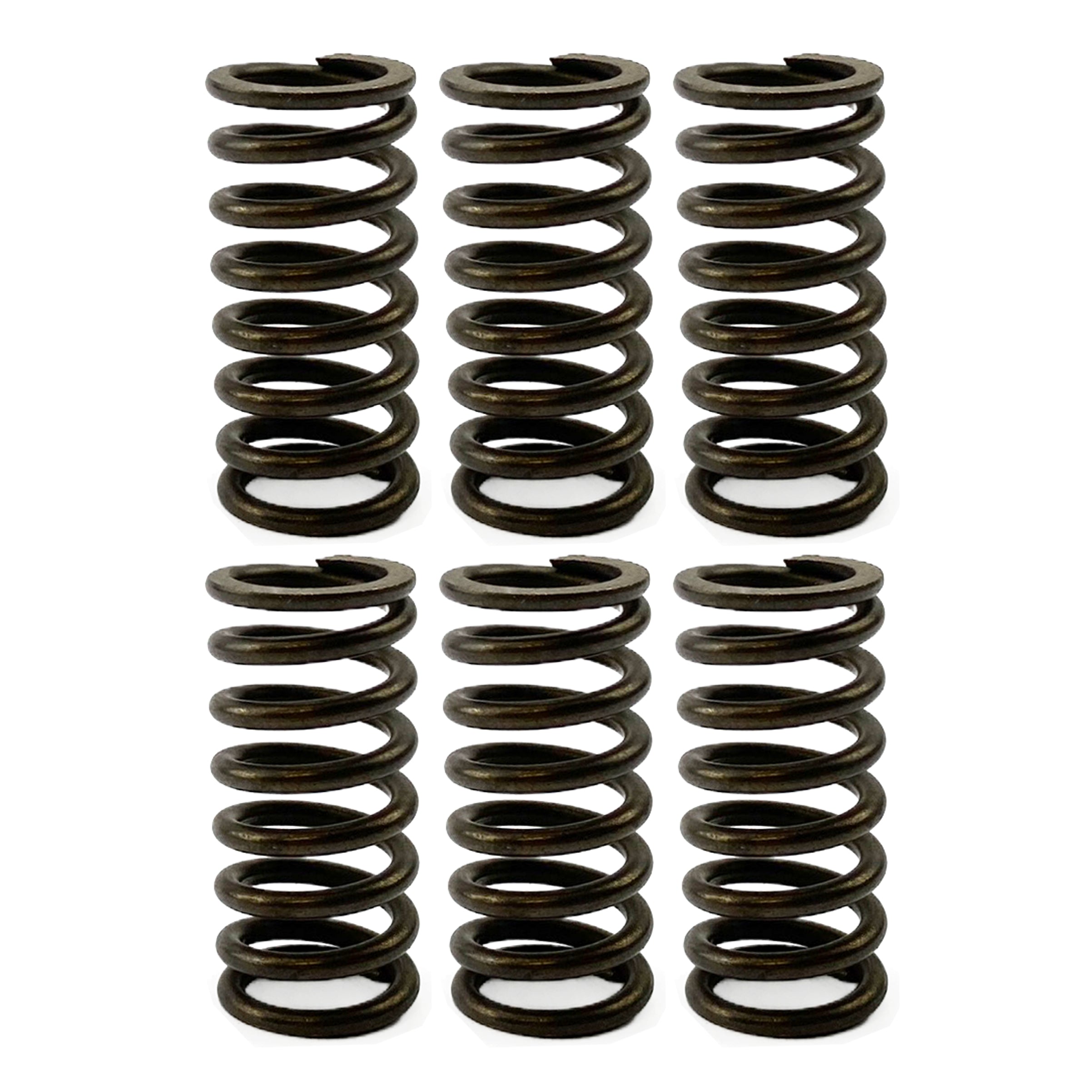CLUTCH SPRING HD SET/6 [CSK91]