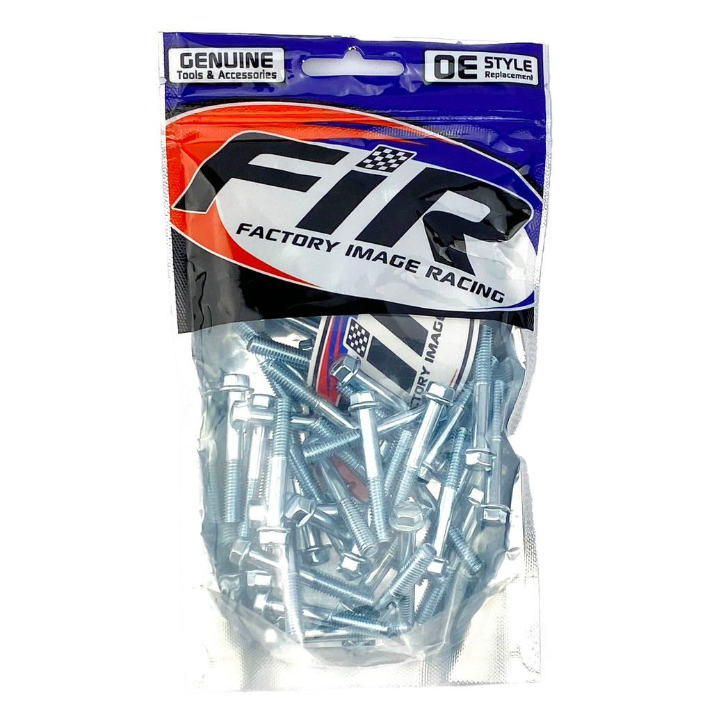 M6 x 40mm FLANGE BOLT, PACK OF 50, 8mm HEX