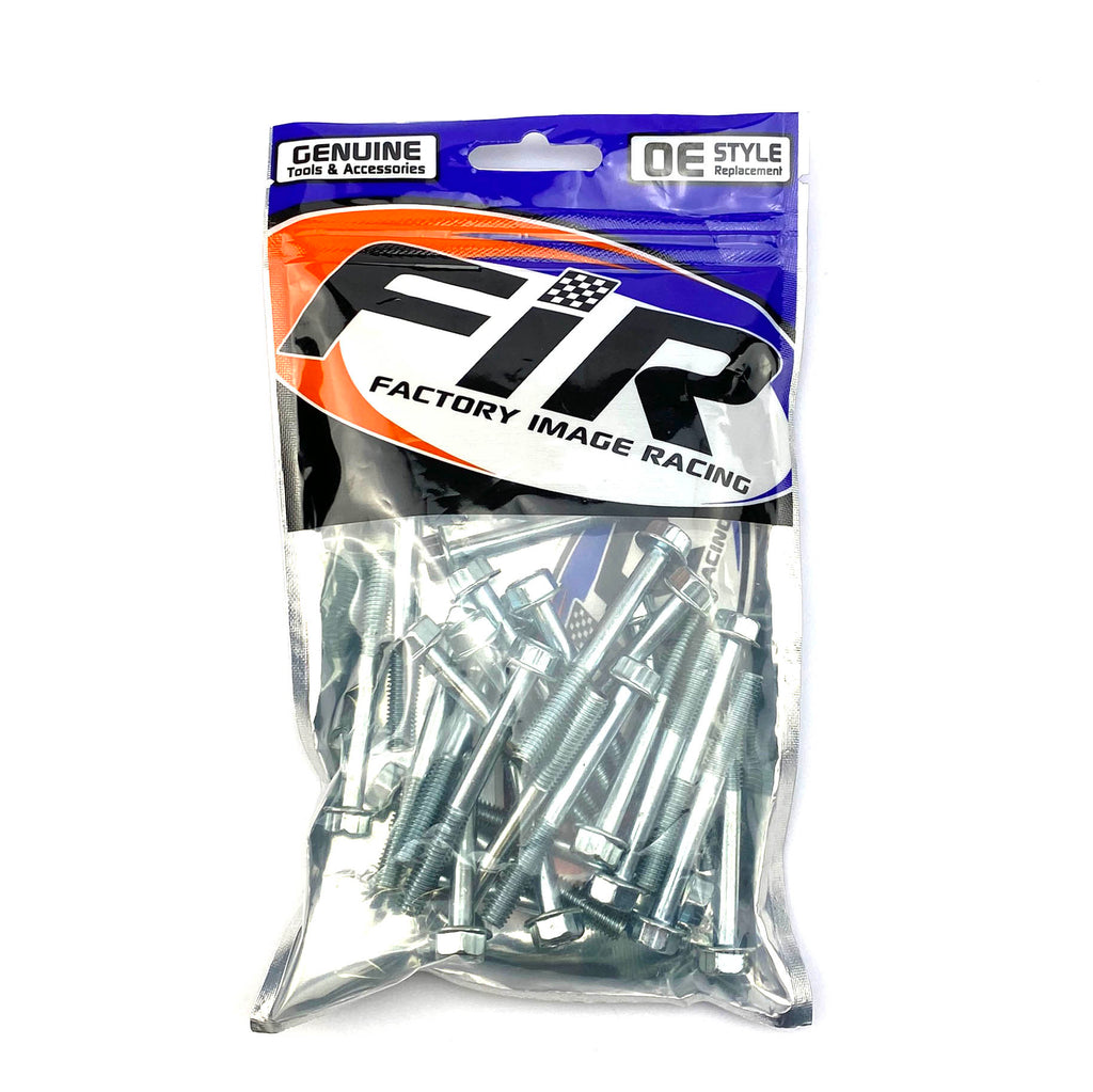 M6 x 55mm FLANGE BOLT, PACK OF 25, 10mm HEX
