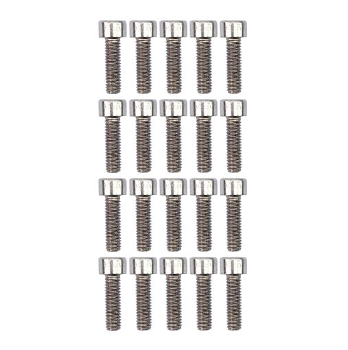 PK/20 M6x20 SS ALLEN CAP, STAINLESS STEEL SCREW