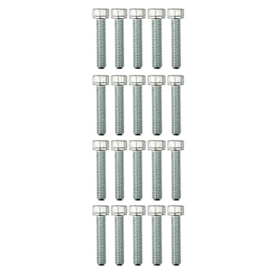 PK/20 M5x25 ALLEN CAP BZP