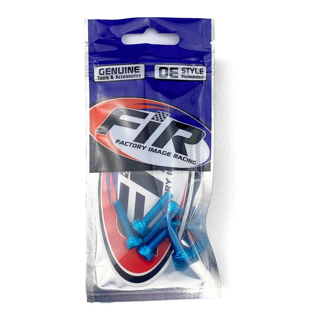 5x20 BLUE PACK/6 ALLOY BOLTS Hexagonal Socket head ALLEN Cap Screws