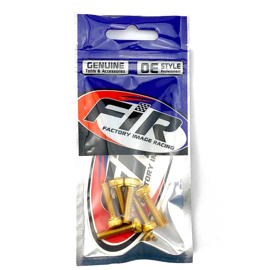 5x20 GOLD PACK/6 ALLOY BOLTS Hexagonal Socket head ALLEN Cap Screws
