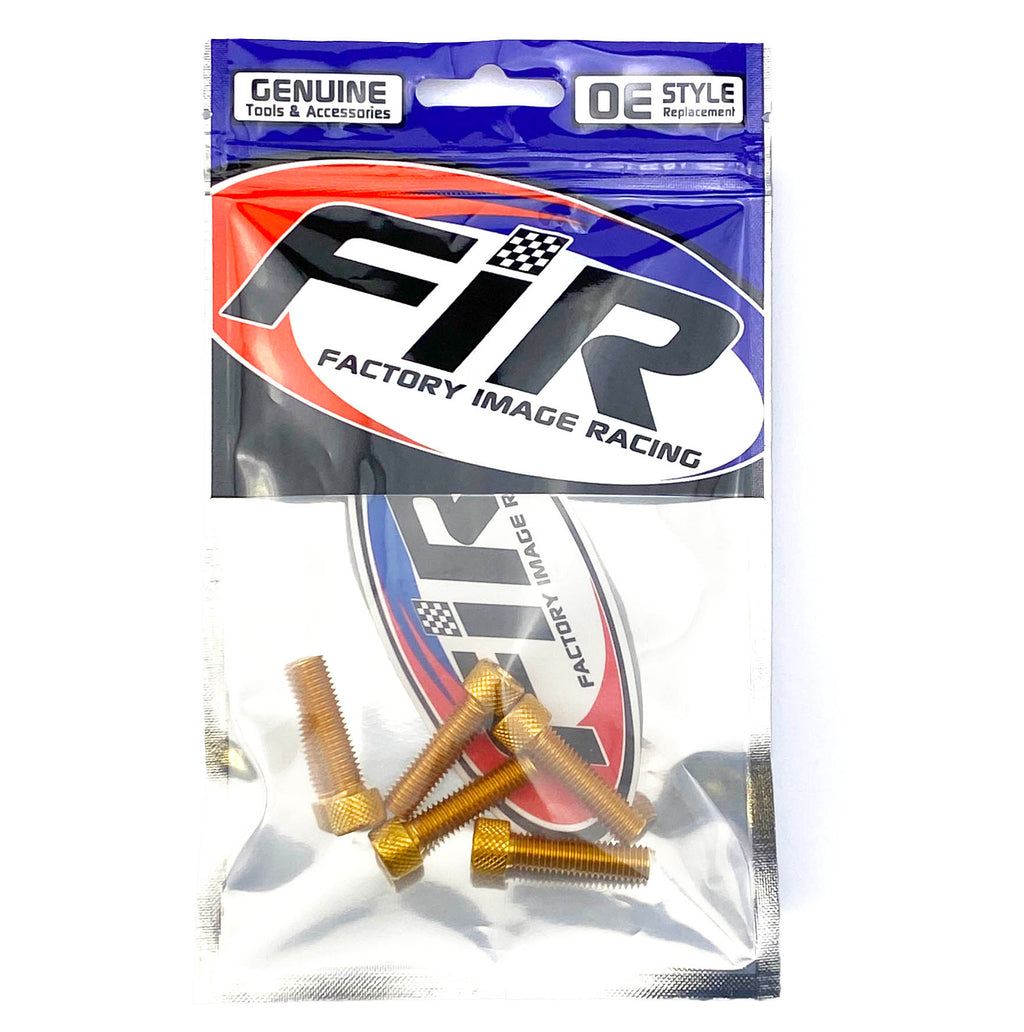 8x30 GOLD PACK/6 ALLOY