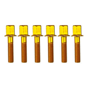 M6x25mm BOLT ALUM.GOLD