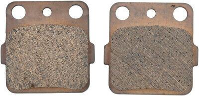 BRAKE PADS SINTERED RC-1, RENTHAL BP-110, BP110 WORKS, 39-084