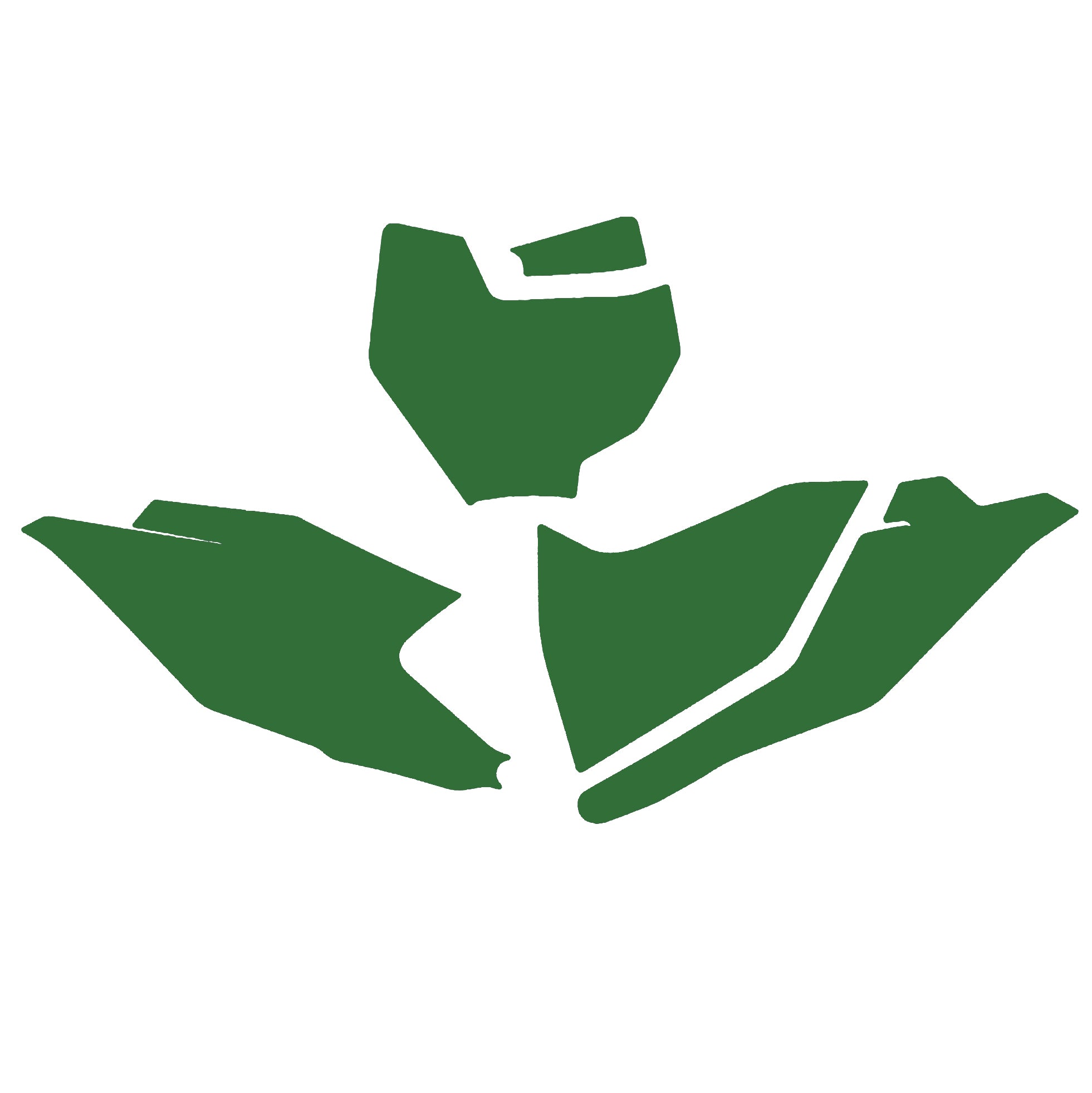 KTX SX 85 2025 GREEN BACKGROUNDS, BLACKBIRD 3534/30