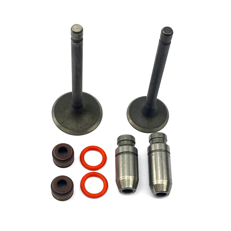 VALVES GUIDE KIT YAMAHA YBR 125 JYM 5VL ENGINE