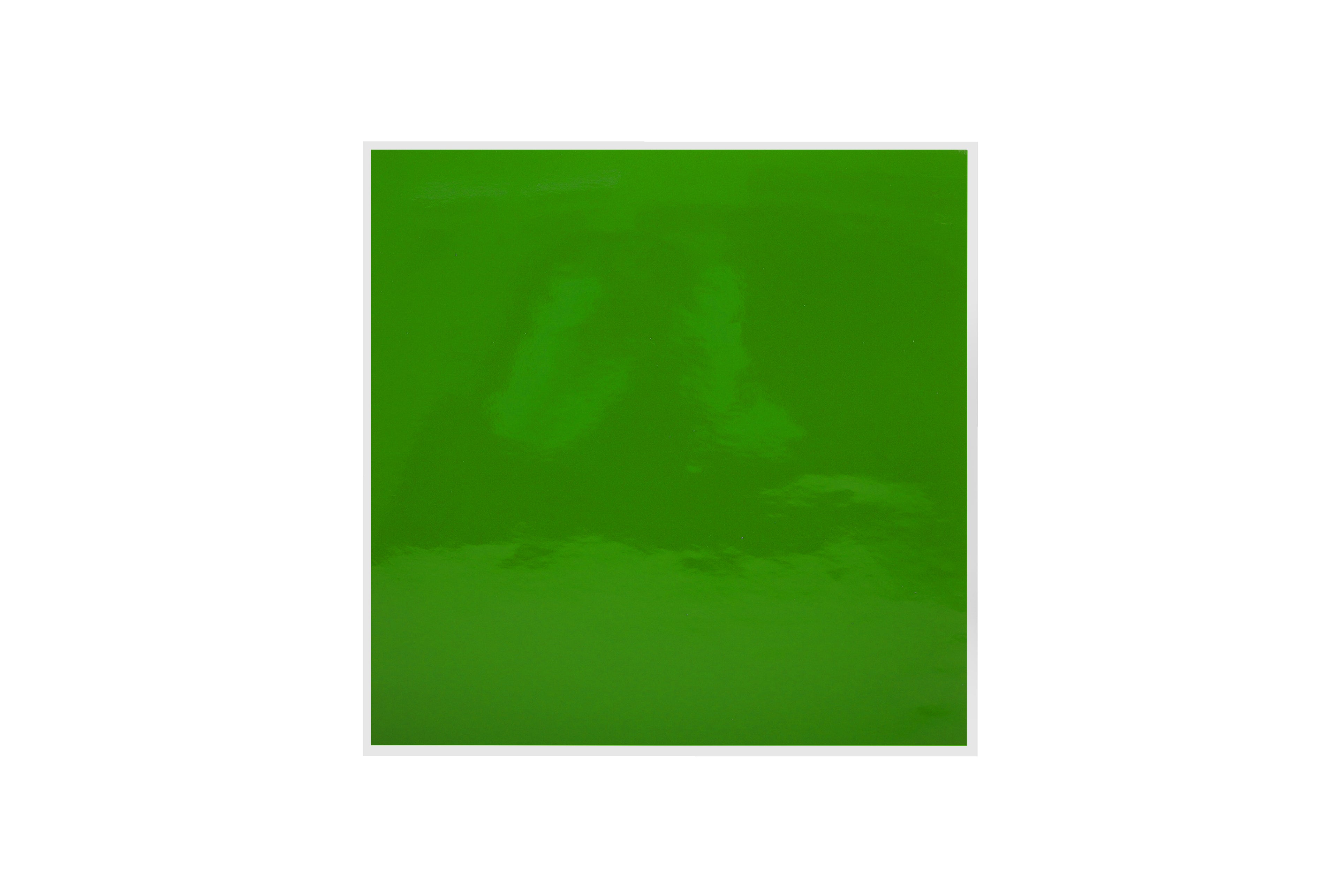 PACK/10 BACKGROUND GREEN