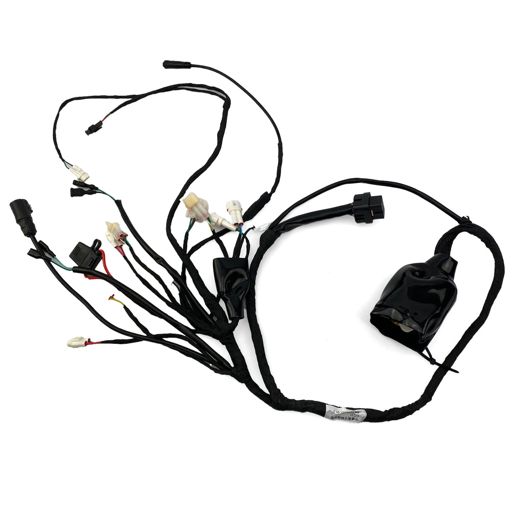 ERIDE PRO SS 2.0 3.0 MAIN WIRING HARNESS LOOM ASSEMBLY WITH BT E7015