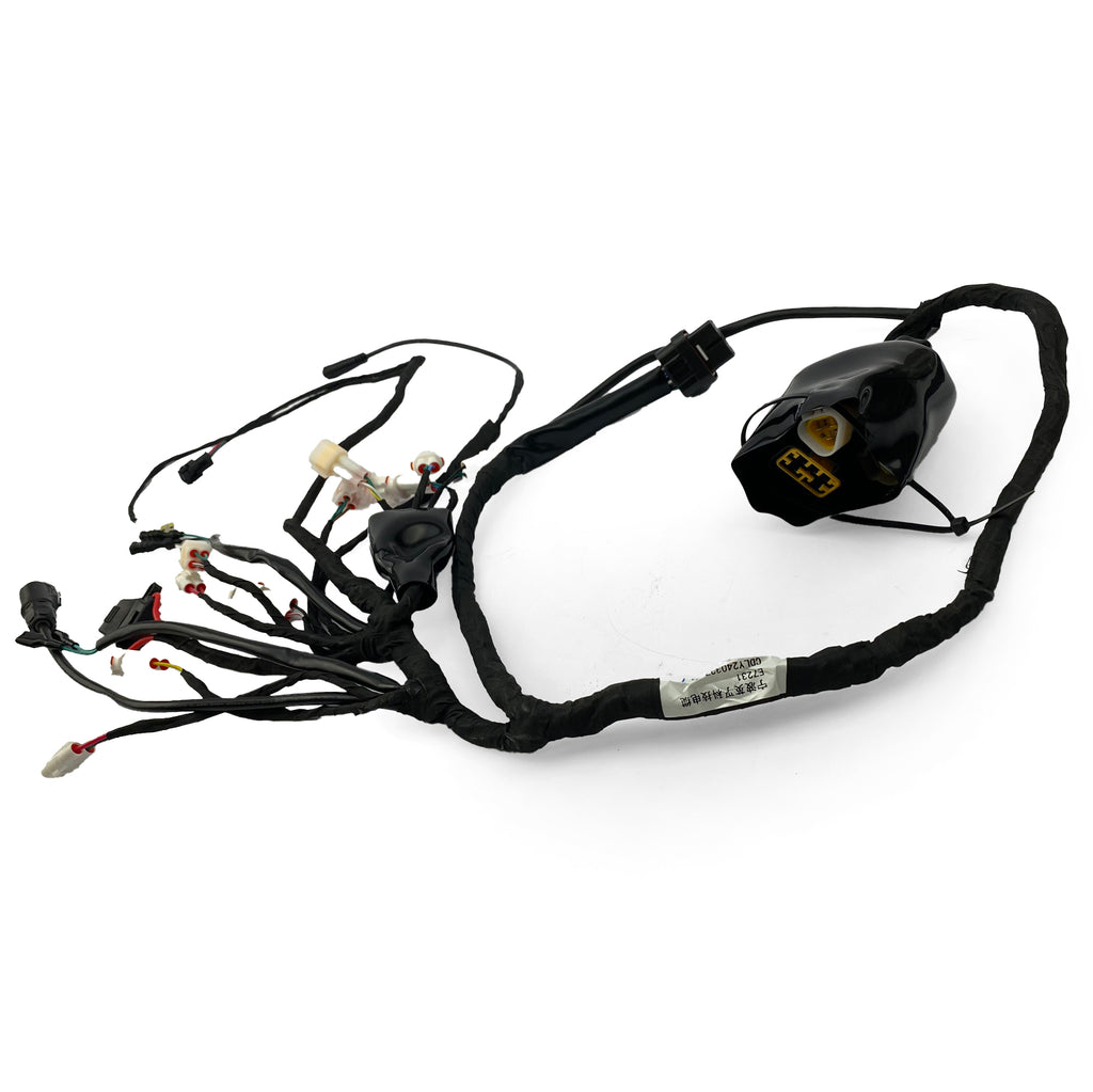 ERIDE PRO SS 2.0 3.0 MAIN WIRING HARNESS LOOM ASSEMBLY WITH BT E7015