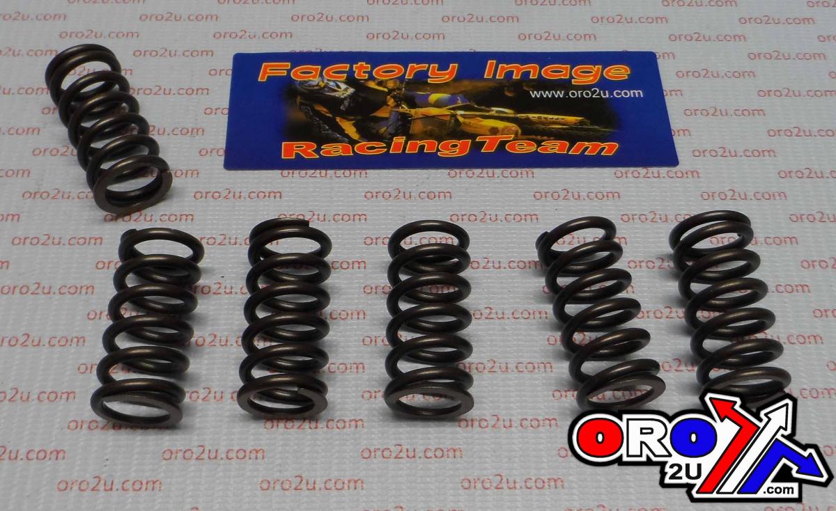 CLUTCH SPRING HD SET/6 [CSK006]