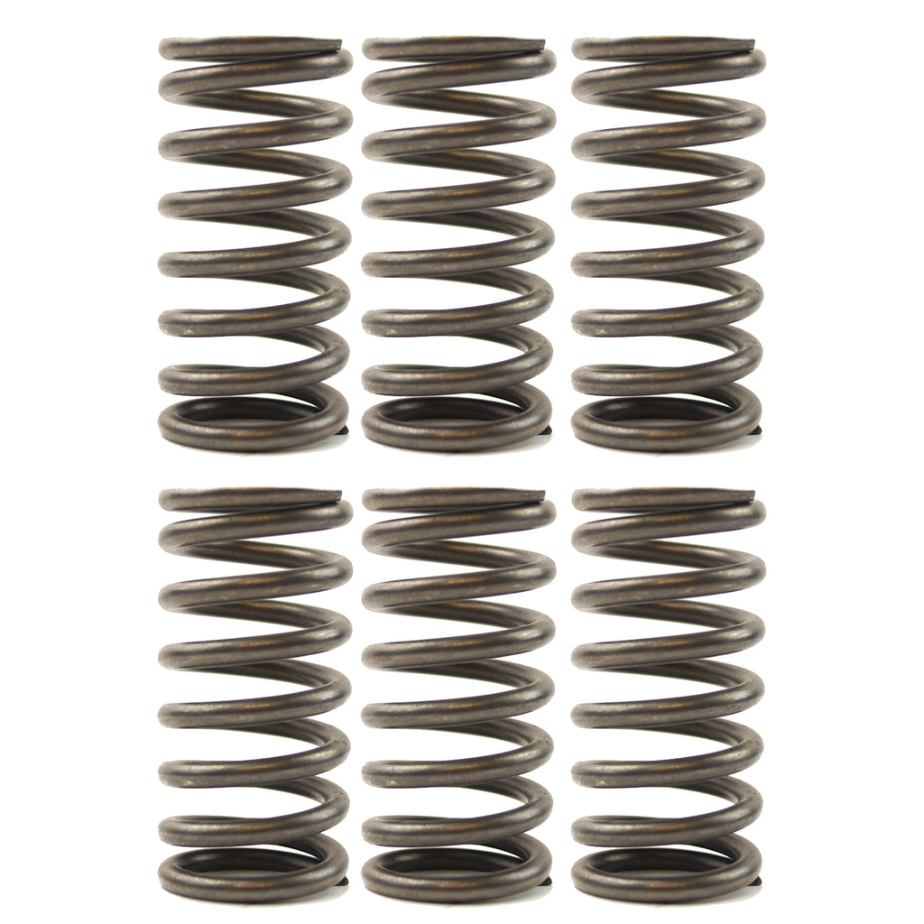 CLUTCH SPRINGS EBC CSK136