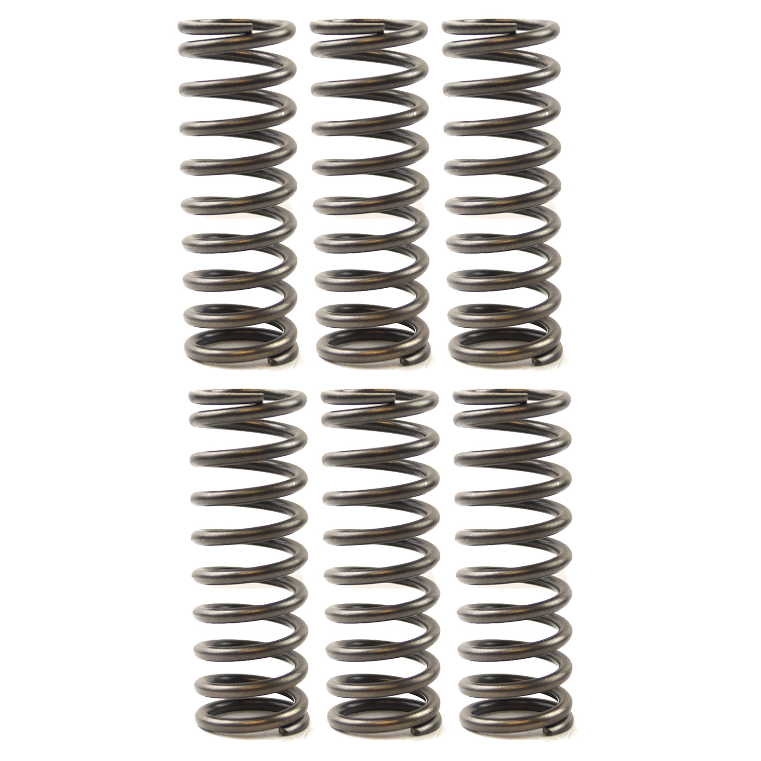 CLUTCH SPRING SET EBC CSK119
