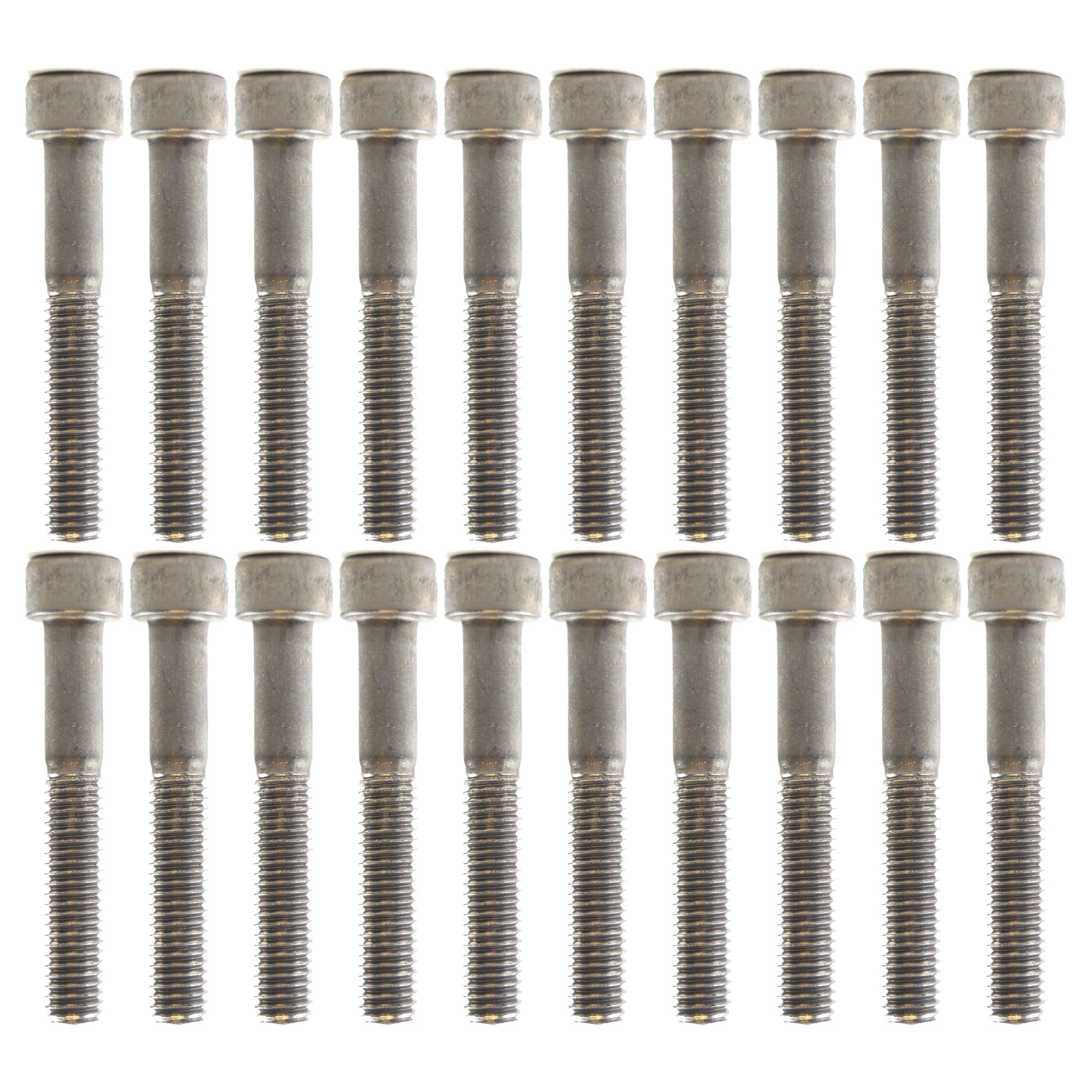 PK/20 M6x50 SS ALLEN CAP, STAINLESS STEEL SCREW