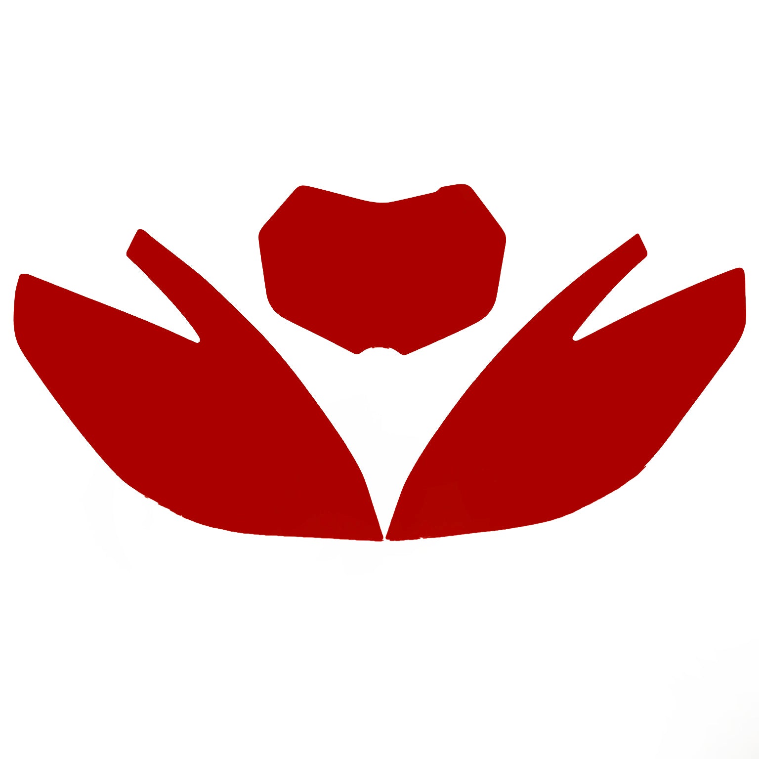 2020-2021 TM EN 2-ST BACKGROUNDS, RED BLACKBIRD 3817/60