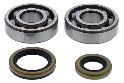 CRANKSHAFT BEARING & SEAL KIT GASGAS, ALLBALLS 24-1119