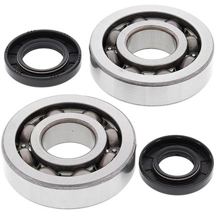 CRANKSHAFT BEARING & SEAL KIT, ALLBALLS 24-1047 KX250 02-07
