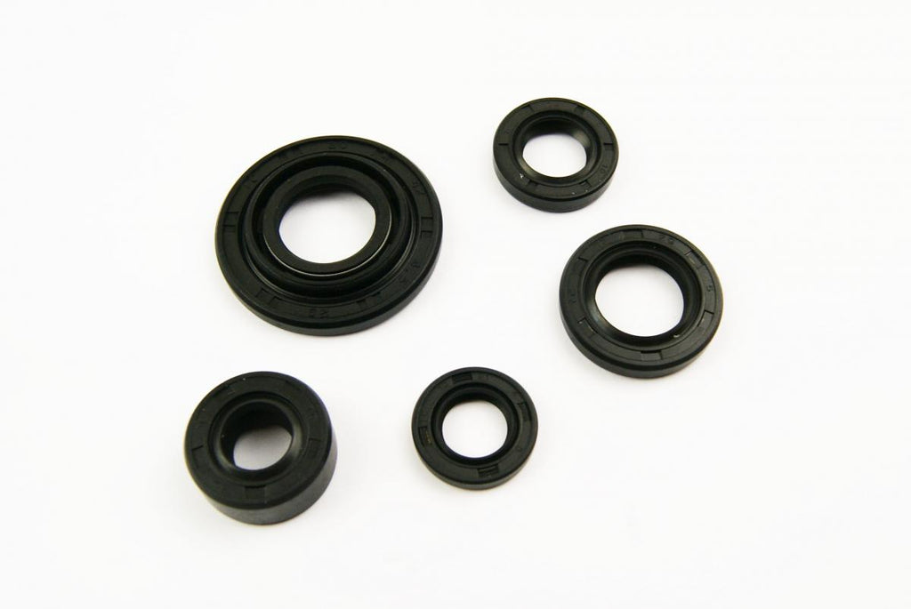 OIL SEAL SET [PIT BIKE], 17x29x5, 13.7x24x5, 10x24x5, 18.9x30x5, 30x42x4.5