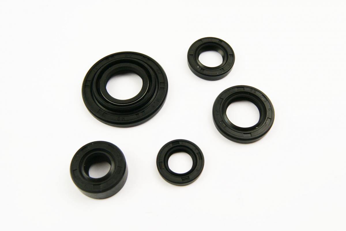 OIL SEAL SET [PIT BIKE], 17x29x5, 13.7x24x5, 10x24x5, 18.9x30x5, 30x42x4.5