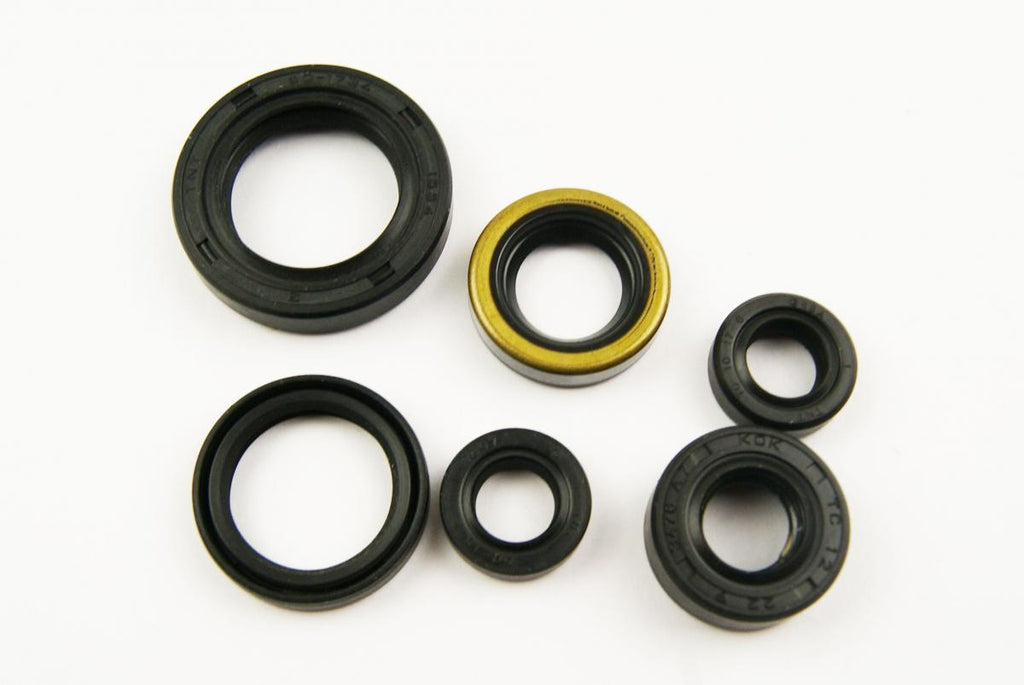 OIL SEAL SET DR350 90-99, WINDEROSA 822194