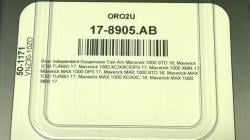REAR INDEPENDENT SUSPENSION, ALLBALLS 50-1171 CAN-AM