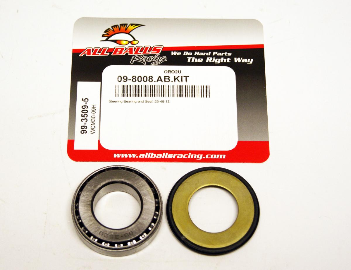BEARING TAPER & SEAL KIT, ALLBALLS 99-3509-5, 25x48x13