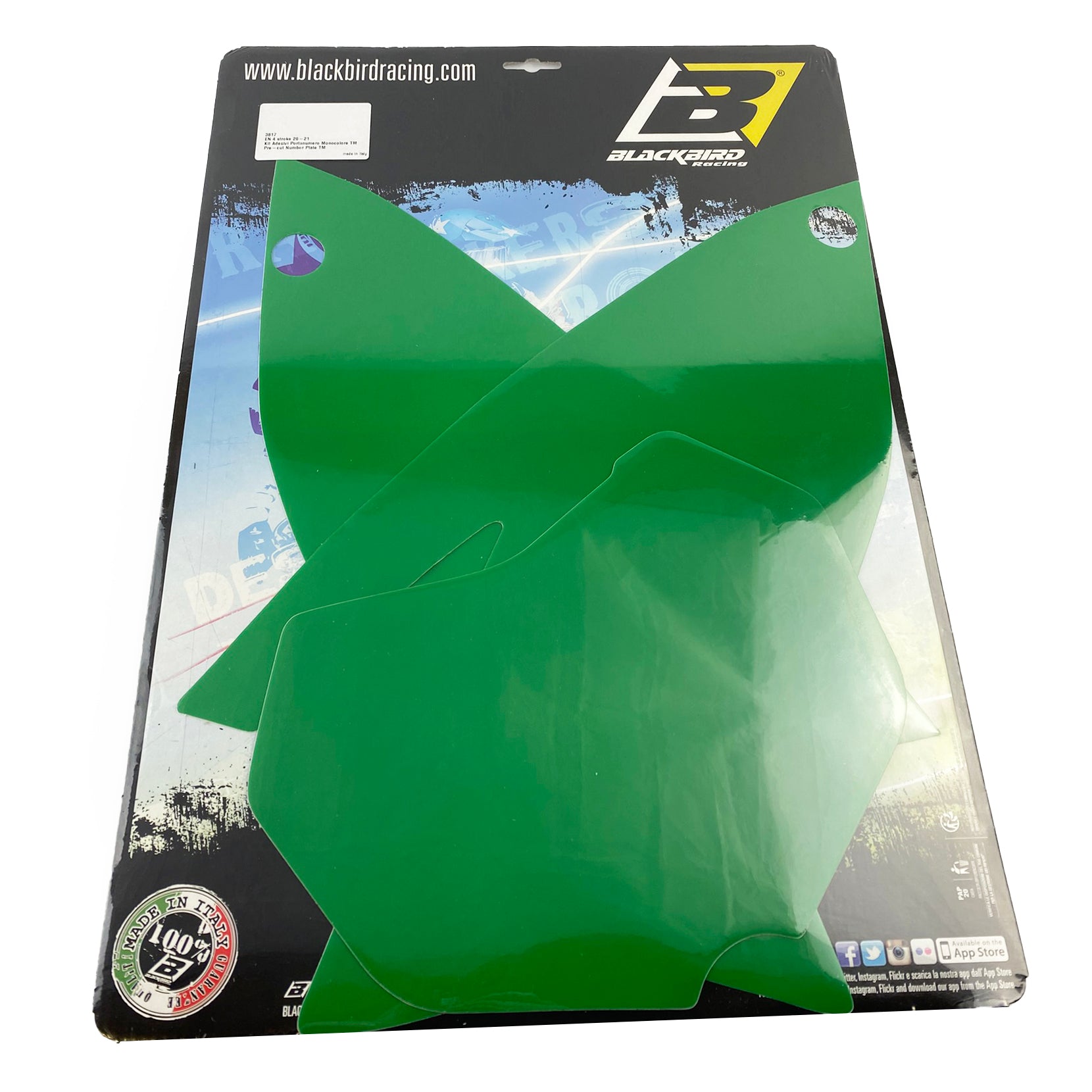 2020-2021 TM EN 2-ST BACKGROUNDS, GREEN BLACKBIRD 3817/30