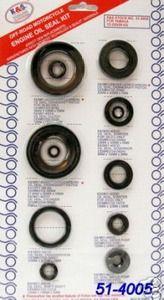 OIL SEAL SET 99-08 YZ250 12PCS