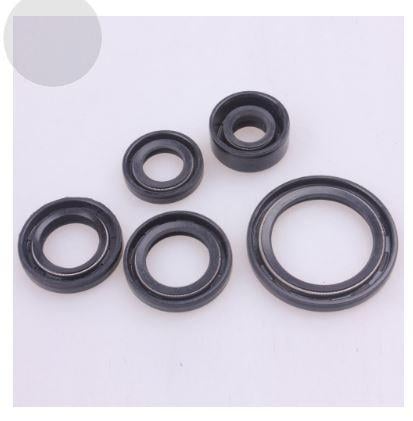 OIL SEAL SET [PIT BIKE], 17x29x5, 13.7x24x5, 10x24x5, 18.9x30x5, 30x42x4.5