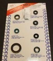 OIL SEAL SET 06-07 LTR450 KS50-2043E