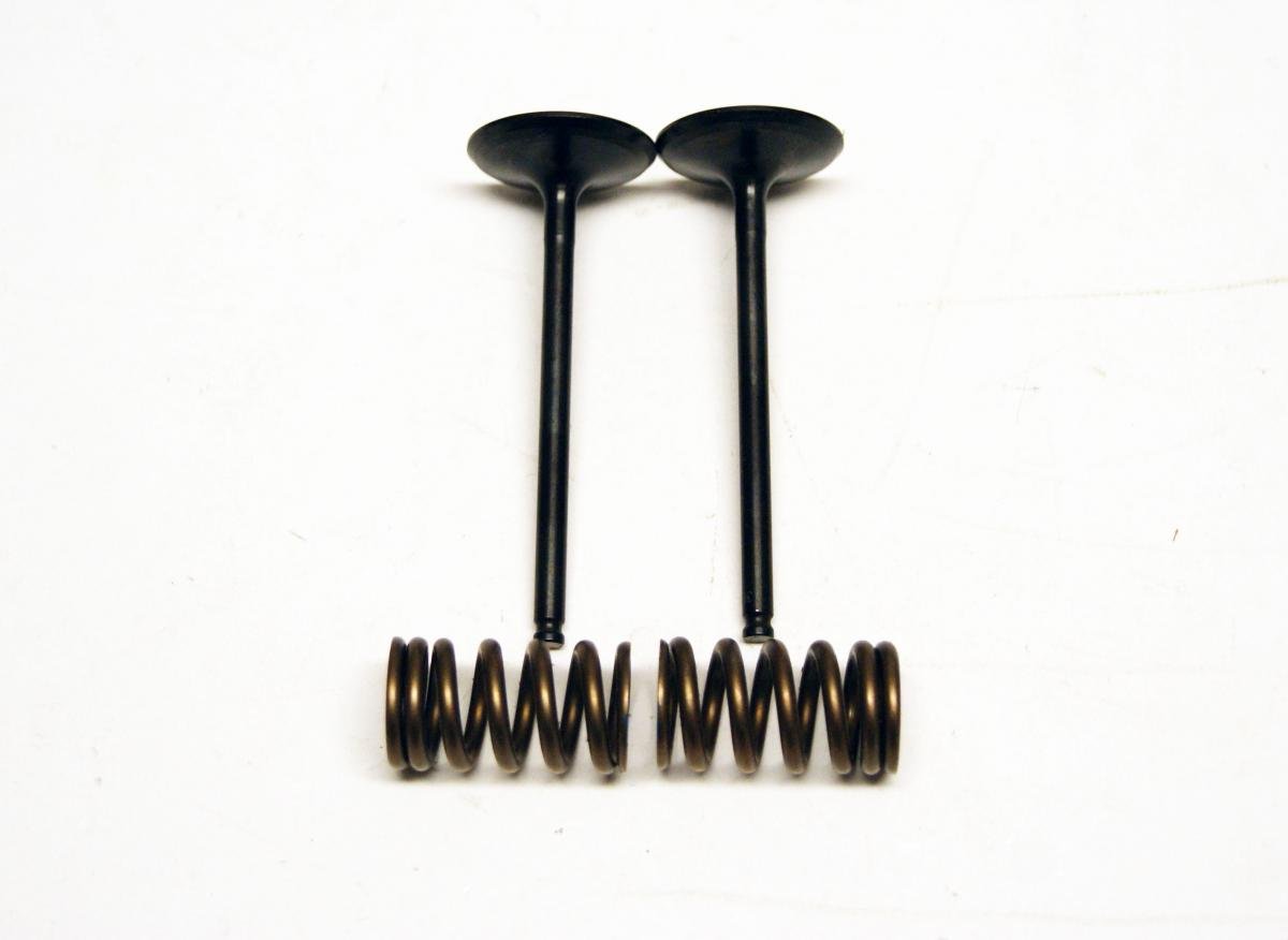 KIT IN VALVE+SPRING YZF250, PROX 28.SIS2414-2 INTAKE