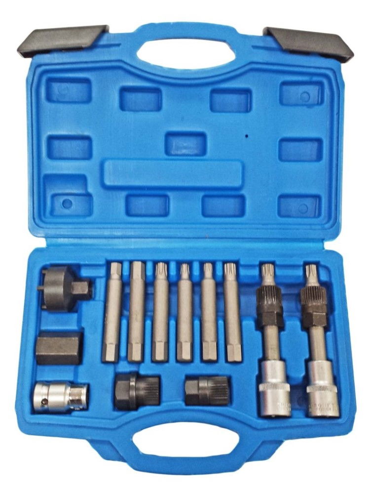 ALTERNATOR FREEWHEEL PULLEY REMOVAL SET 13pc WITH BIT SOCKETS - TOOLZONE KDPAU011