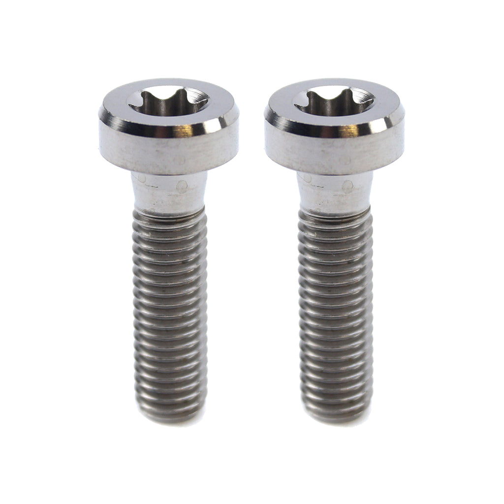 GR5 SCREW M8X30 TORX45 PK2, TITANIUM - KTM 0035080306S