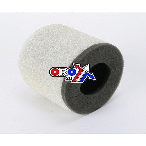 AIR FILTER FOR POWERFLOW, TWIN AIR 153909FR