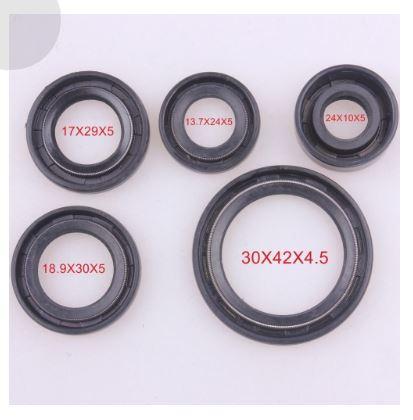 OIL SEAL SET [PIT BIKE], 17x29x5, 13.7x24x5, 10x24x5, 18.9x30x5, 30x42x4.5