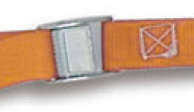 Cam Buckle Straps 200kg High-Grade Polypropylene 5m - Robur 8188F 5
