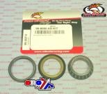 BEARING TAPER & SEAL KIT, ALLBALLS 99-3527-5, 28x46x13, 28x46x12