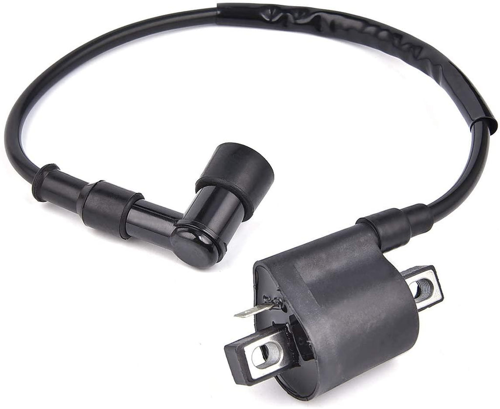 COIL IGNITION HT & CAP, 21121-1170, 21121-1126, 21121-1230.,