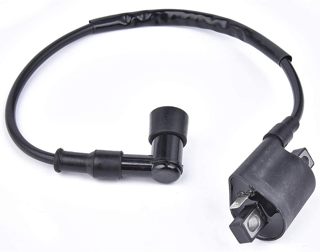 COIL IGNITION HT & CAP, 21121-1170, 21121-1126, 21121-1230.,