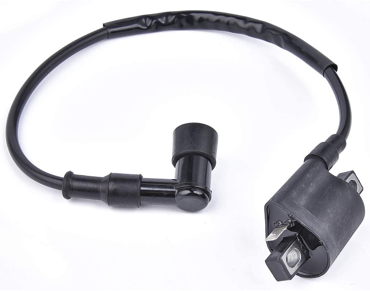 COIL IGNITION HT & CAP, 21121-1170, 21121-1126, 21121-1230.,
