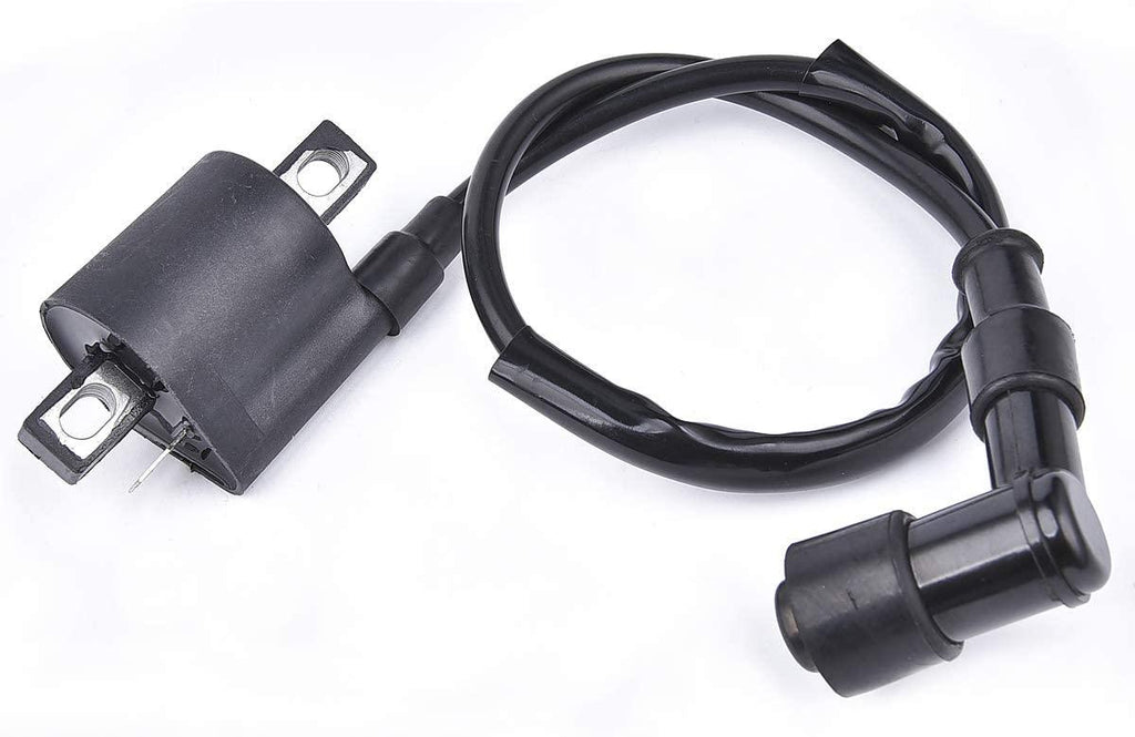 COIL IGNITION HT & CAP, 21121-1170, 21121-1126, 21121-1230.,