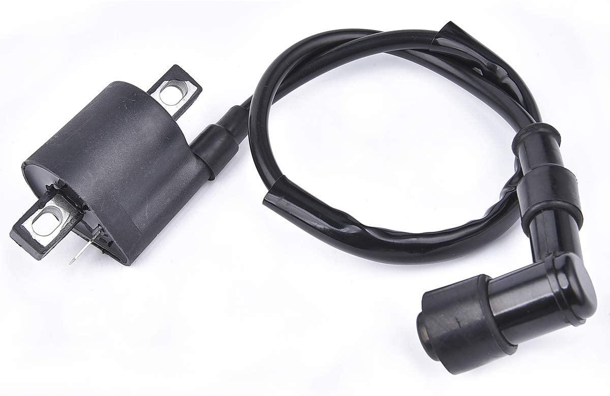COIL IGNITION HT & CAP, 21121-1170, 21121-1126, 21121-1230.,