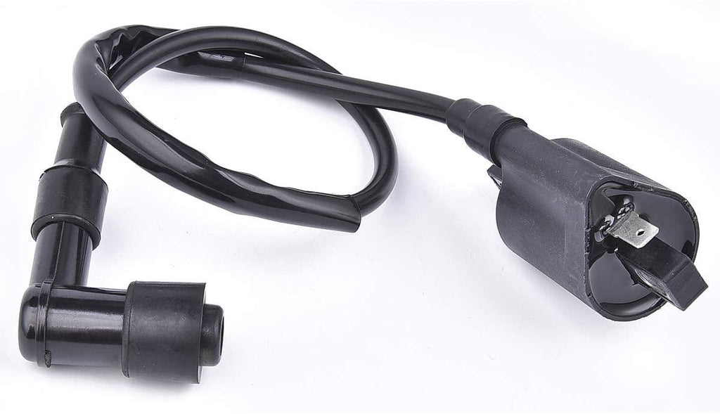 COIL IGNITION HT & CAP, 21121-1170, 21121-1126, 21121-1230.,