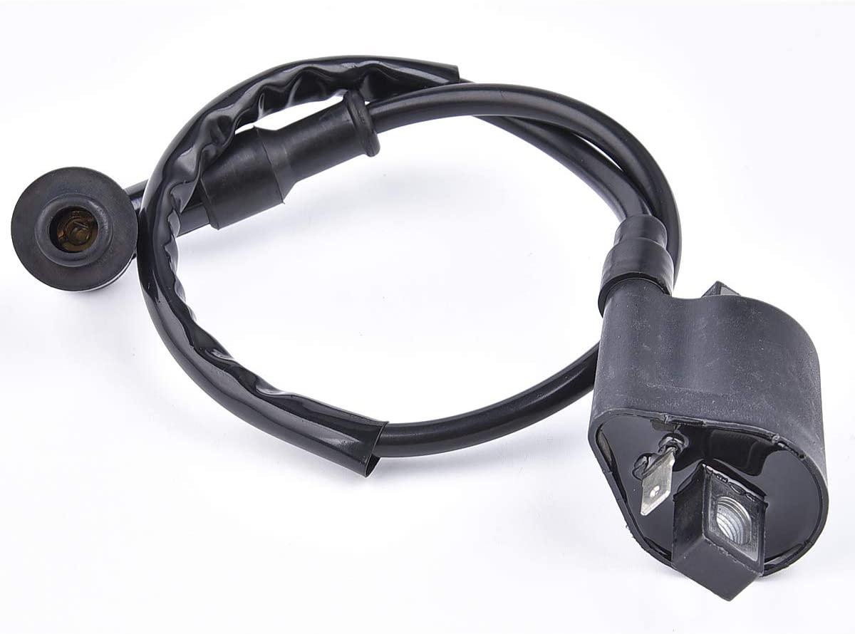 COIL IGNITION HT & CAP, 21121-1170, 21121-1126, 21121-1230.,